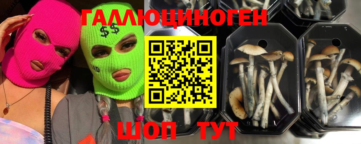 Красноуфимск  Псилоцибиновые грибы мухоморы  Вход с VPN 